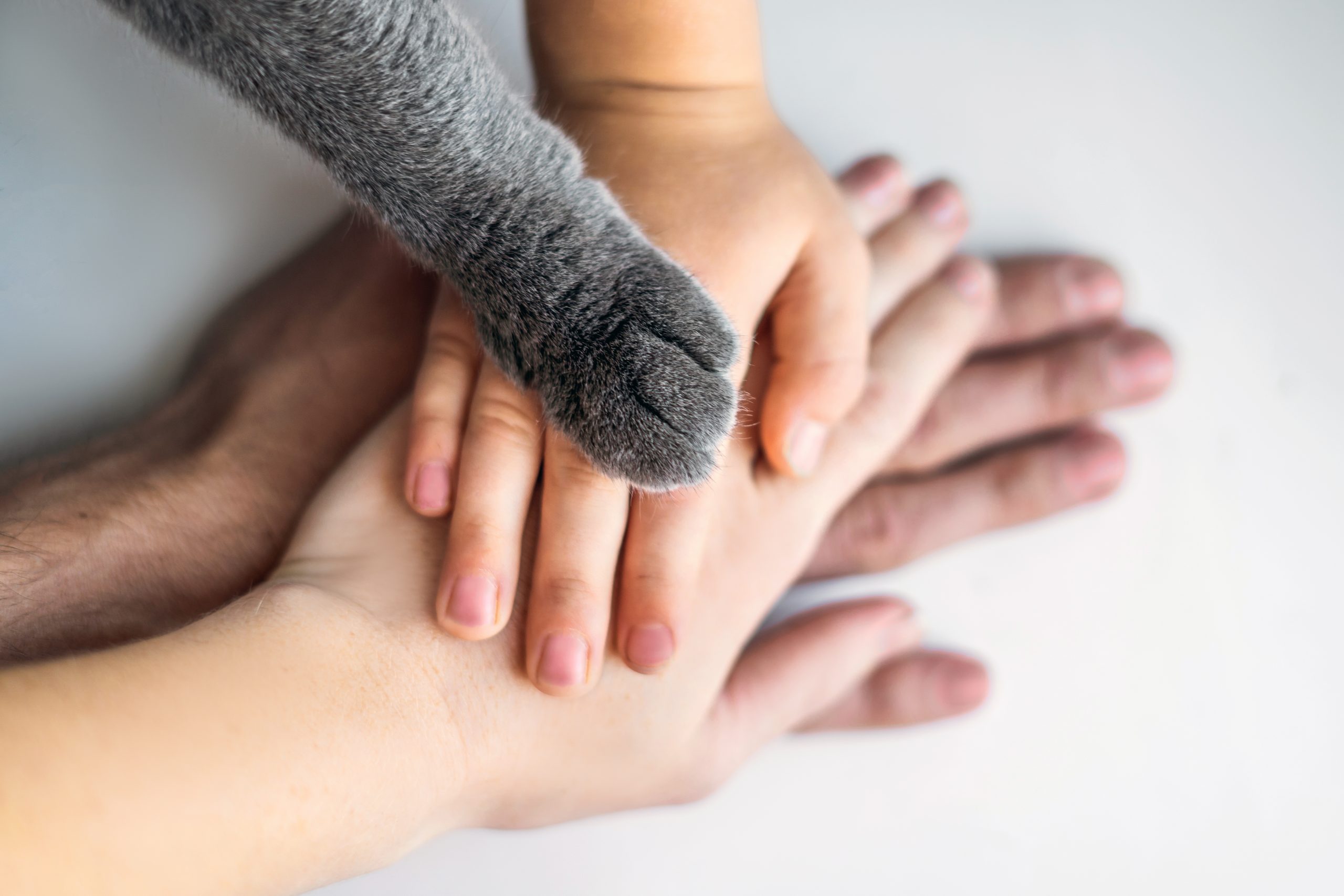 Hands Image